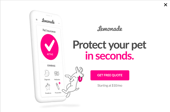 Lemonade Pet Insurance