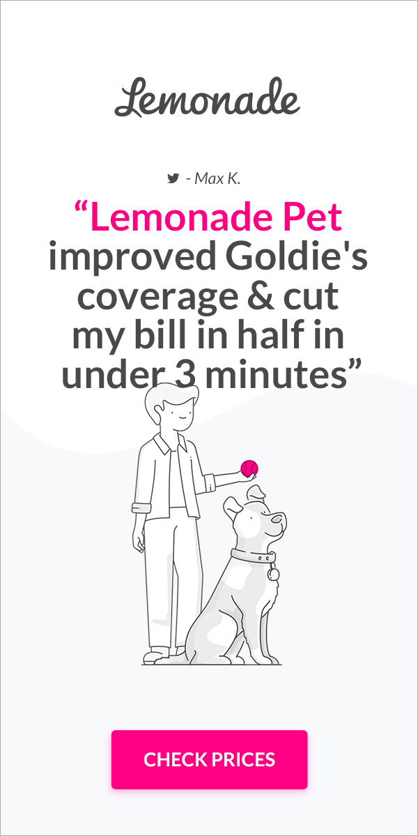 Vertical Lemonade Pet Insurance advertisement with a line-drawn illustration of a man and his dog and the quote 'Lemonade Pet improved Goldie's coverage and cut my bill in half in under 3 minutes'