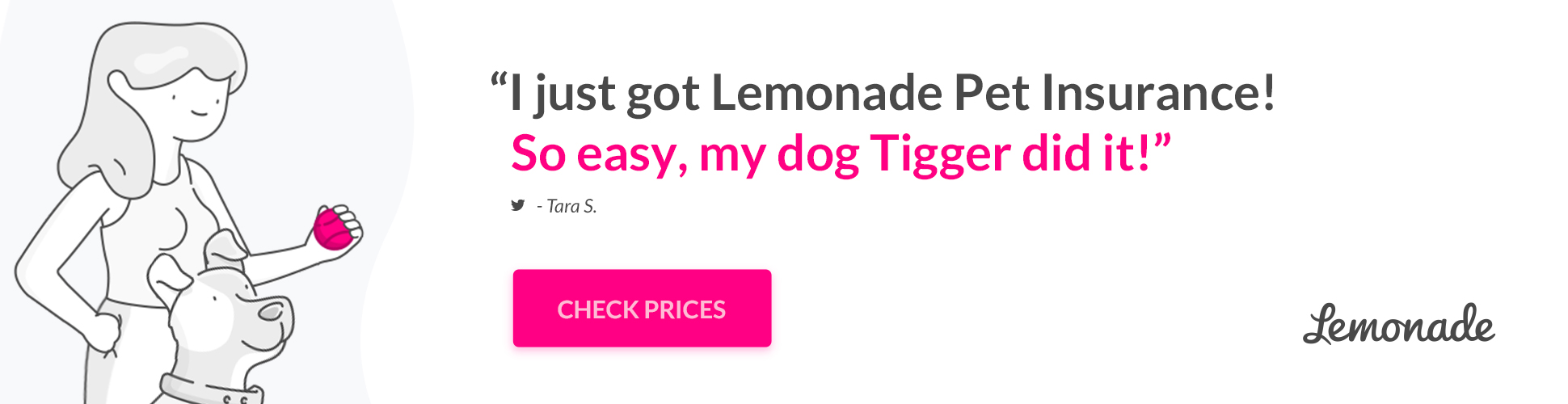 Lemonade Pet Insurance Review: Cheap, Fast — But Is It Enough Cover?