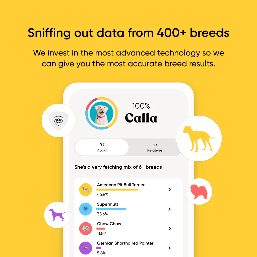 Embark app screen showing a dog's breed breakdown across American Pit Bull Terrier, Supermutt, Chow Chow and German Shorthaired Pointer